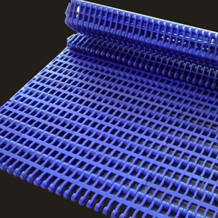 China                  Plastic Modular Belt 900 Perforated Flat Top Pitch 27.2 PP, POM, Acetal Conveyor Belt for Food Conveyor System              factory