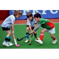 china Safe Cricket Sports Artificial Grass Hockey Filed Double Layer Pp Long Service Life