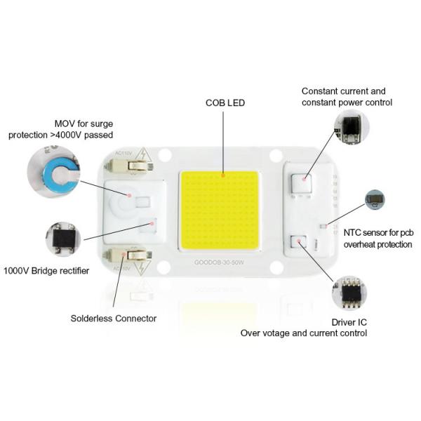 Quality No Welding AC COB LED COB Chip Cold Warm White For Floodlight Greenhouse for sale