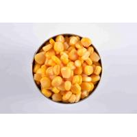 China OEM Grade A Canned Whole Kernel Sweet Corn Water Preservation Process factory