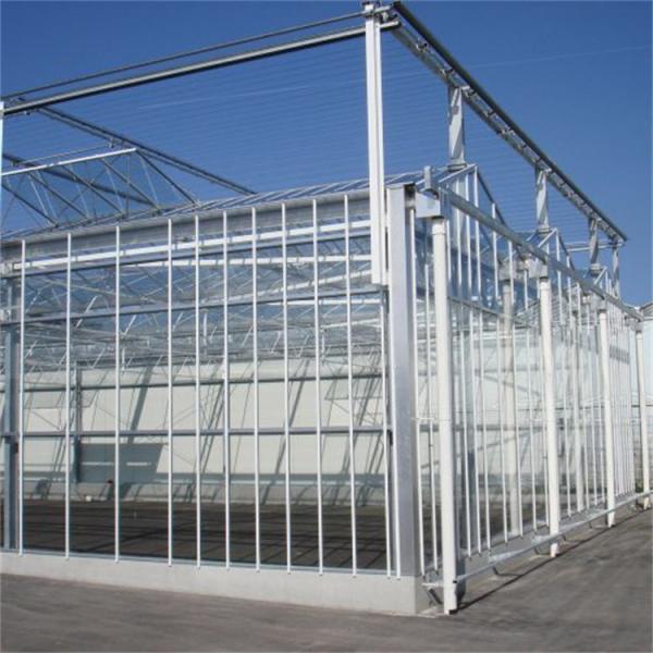 Quality Customizable High Durability Multispan Greenhouse Rain Resistant for sale
