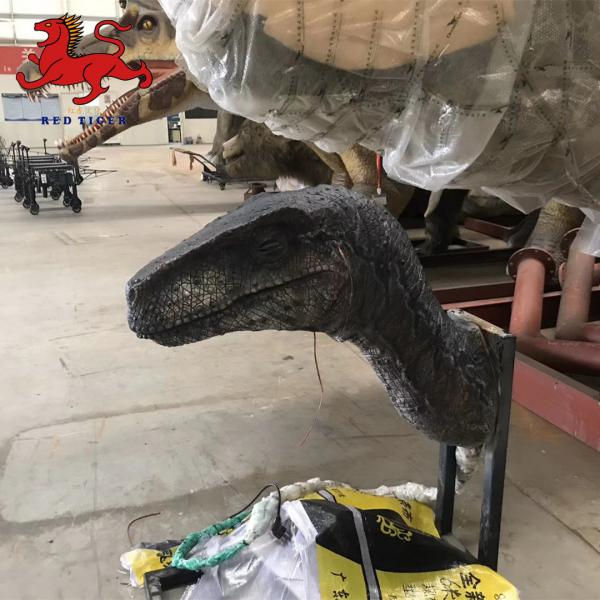 Quality Indoor Realistic Dinosaur Head Wall Mount Decorative Size Customized for sale