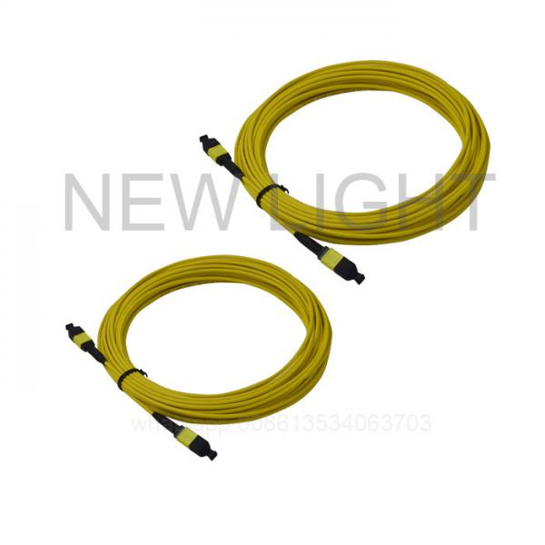 Quality MTP ( Female ) To MTP ( Female ) Single Mode Cable Polarity B For QSFP28 for sale