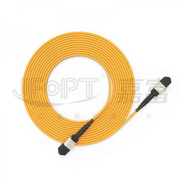 Quality 3.0mm MPO Trunk Cable 24 Core Backbone Cable OFNR OFNP Flame Retardant 2x12 for sale
