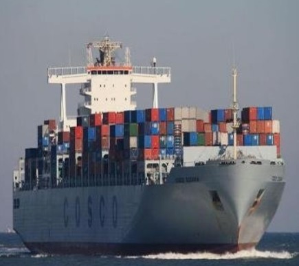 Quality Logistics Forwarder Worldwide Sea Freight From China To Kuwait for sale