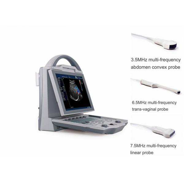 Quality Portable Pregnancy Ultrasound Scanner with Abdominal Convex Transvaginal Transducers for sale