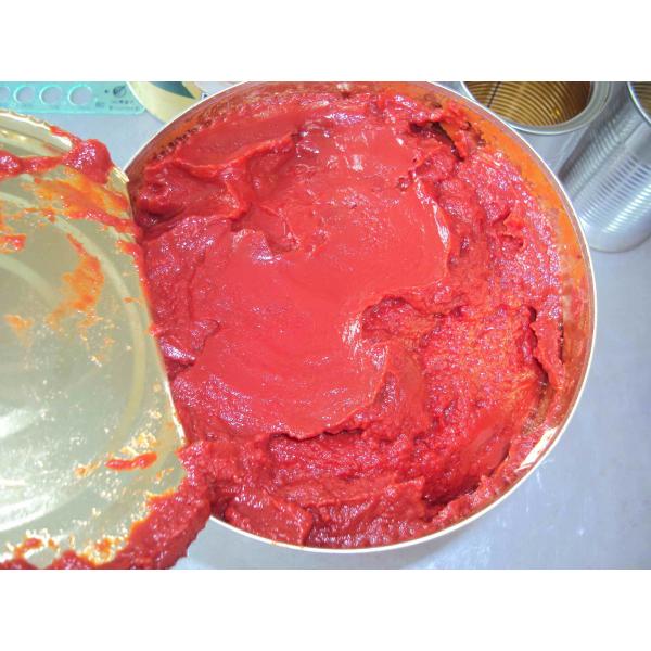 Quality Canning Fresh Tomato Sauce , Tomato Paste Can Commercial Sterilization for sale