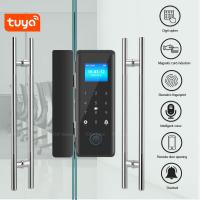 China TFT Screen Punch Free Smart Fingerprint Door Lock Tuya Remote Access For Office factory