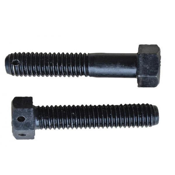 Quality Standard / Non Standard Hex Head Bolt With Wire Holes Customization Acceptable for sale
