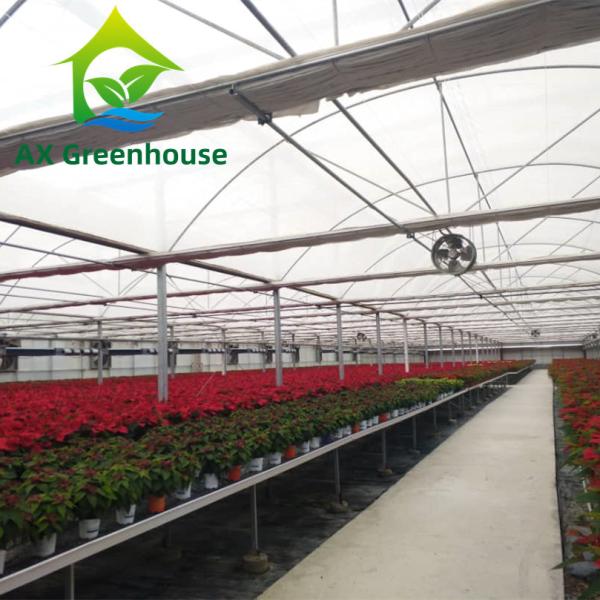 Quality Strawberries Plastic Film Greenhouse for sale