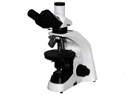 China Trinocular Educational Microscope Kit WF10X/20mm Student Microscope With Mechanical Stage factory