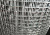 China Aviary Welded Wire Fence Roll / Metal Mesh Roll 3'X100' Square Hole factory