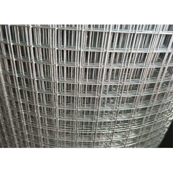 Quality Aviary Welded Wire Fence Roll / Metal Mesh Roll 3'X100' Square Hole for sale