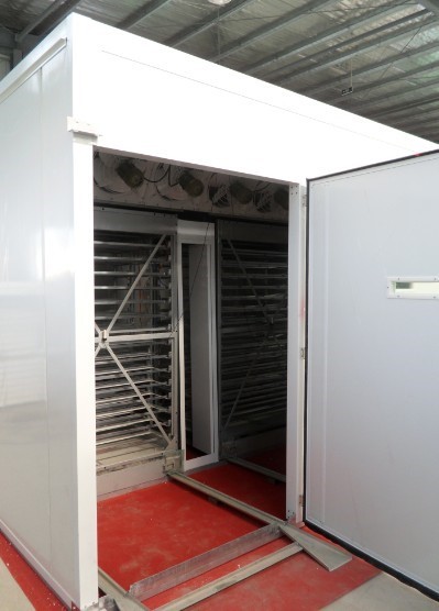 Quality 10000 Capacity Fully Automatic Egg Incubator Tunnel Multi Stage Incubator 9.7KW for sale