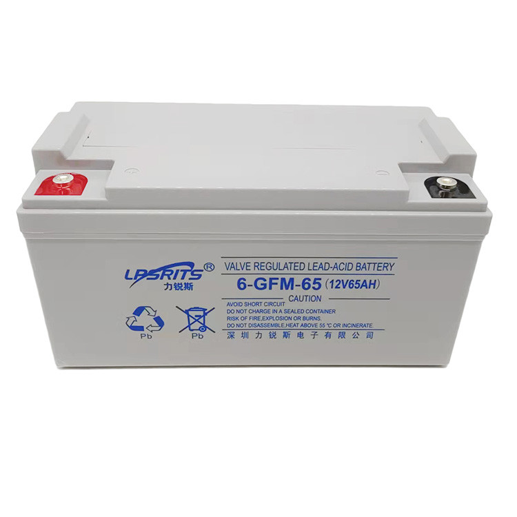China Liruisi 65Ah 12V Lead Acid Batteries VRLA 6-GFM-65 For Uninterruptible Power System factory