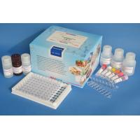 Quality Plasmid DNA Kanamycin Fine Test Elisa Kit High Repetitive 90% Accuracy for sale