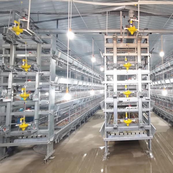 Quality Hot Dip Galvanized Q235 Broiler Equipment 108 / 144birds Wire Chicken Cage for sale
