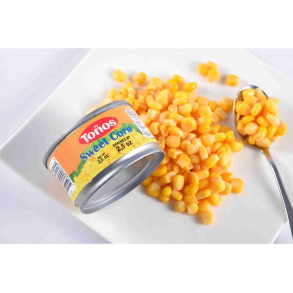 Quality Safe Fresh Natural Canned Sweet Corn Nutritious Syrup Preservation Process for sale