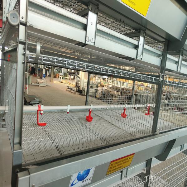 Quality 100kgs H Type Battery Broiler Chicken Cage System 120 Birds ISO9001 Listed for sale