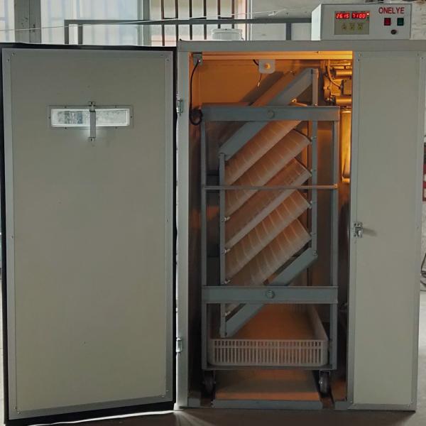 Quality 1600W Digital Fully Automatic Chicken Egg Incubator Auto Turning 880 Pheasant Eggs for sale