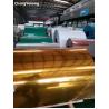 China Hall Decoration Colour Coated Steel Coils , Metallic Grain Color Hot Dip Galvanized Coils factory
