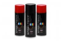 China Plyfit Automotive Aerosol Paint , All Purpose Spray Paint For Metal Surfaces factory