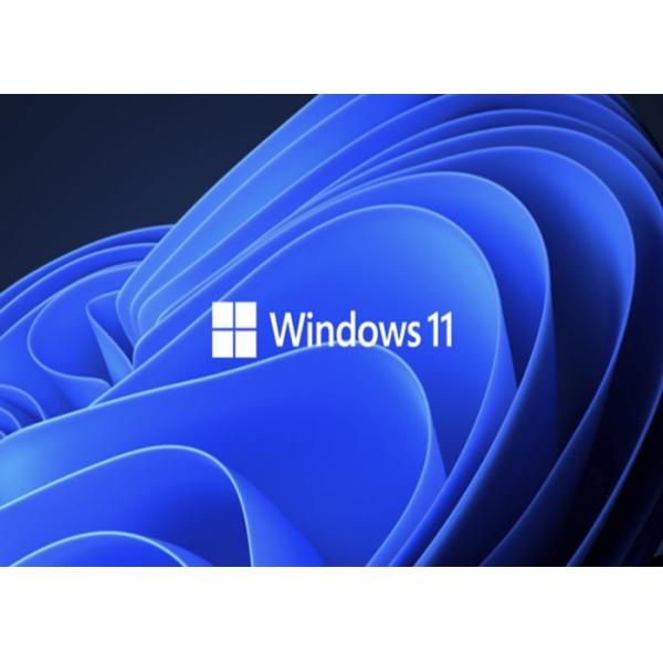 Quality WDDM 2.0 UEFI Microsoft Windows 11 Professional Win 11 Pro COA Sticker Key License for sale