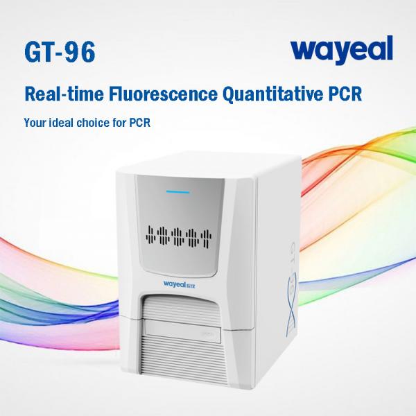 Quality Wayeal Clinical Medical Real Time Pcr Analyzer For Nucleic Acids Testing for sale