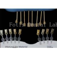 China Durable 0.3-0.5mm Thick Dental Lab Veneers Fake Veneers For Teeth factory