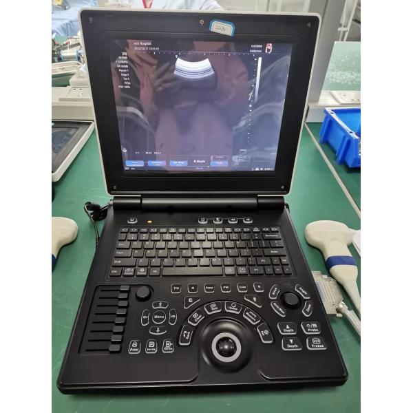 Quality OEM Doppler Veterinary Ultrasound Machine Scanner Pig Cat Vet for sale