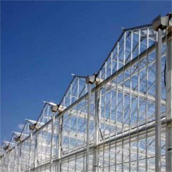 Quality High Light Transmission Venlo Glass Greenhouse Colorful Design for Garden for sale