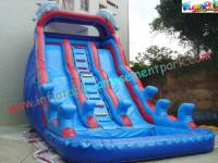 China Giant Dolphin Outdoor Inflatable Water Slides , Three Line Inflatable Water Slide Pool factory