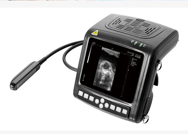 China Handheld Vet B / W Ultrasound Scanner Diagnostic Equipment Multi - Frequency factory