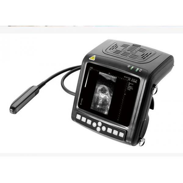 Quality B / W Palm Ultrasound Scanner Animal Ultrasound Scanner Using for Checking Mare and Confirming Pregnancy for sale