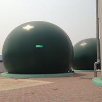 Quality Double Membrane Biogas Holder for sale