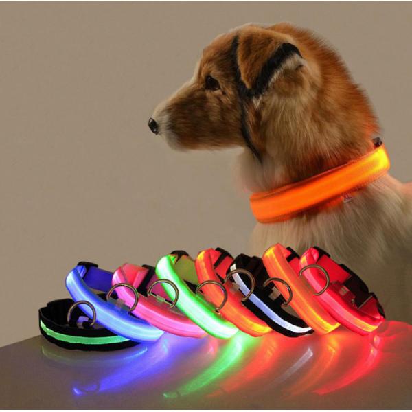 Quality Abs Usb Led Dog Collar Lead Collar For Dogs with Water Resistant Flashing Light for sale