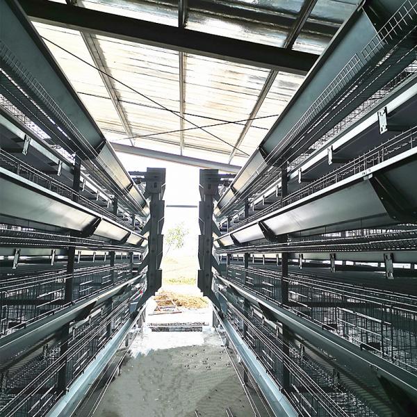 Quality 54-384 Birds/Set Layer Bird Cage , SONCAP Battery System Of Poultry Farming for sale