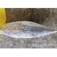 Quality Whole Round Delicious 2.5kg Frozen Skipjack Tuna For Canning for sale
