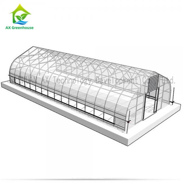 Quality Agricultural Hydroponic Single Span Greenhouse For Mushroom Cultivation for sale