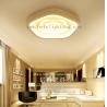 China Modern Indoor Iron  Acrylic LED Ceiling Mount Light  For Living Room Hotel BV2137 factory