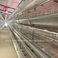 China Hot Dip Galvanized Poultry Cage System White Layer Farm Bird Housing Adela factory