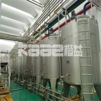 China Industrial Strawberry Blueberry Raspberry Wolfberry Sea Buckthorn Juice And Concentrate Making Machine Processing Line factory