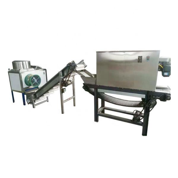 Quality High Speed Fruit Vegetable Processing Machine Ozone Washing  Cut Different Shape for sale