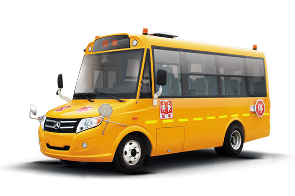 Quality 2015 Year Second Hand American School Bus 10-19 Sears For Transporting Students for sale