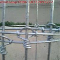 china knotted galvanized grassland fence/deer fence/deer fence mesh/deer fencing mesh/Deer  Fencing Mesh/deer netting