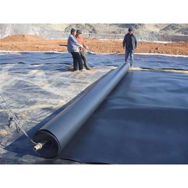 Quality 0.5mm Impermeable Geomembrane Liner High Density Polyethylene for sale