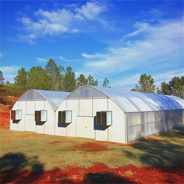 Quality BAOLIDA 20 X 40 Polycarbonate Tunnel Automated Blackout Greenhouse for sale