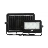 China Outdoor Solar Powered Led Flood Lights Waterproof With Motion Sensor Double Side Solar Panel factory