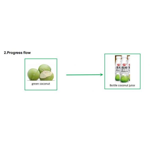 Quality Pte Bottle Packing Coconut Juice Production Line 500L Per Hour for sale