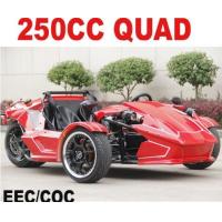 China 250cc EEC Trike Scooter for Adult factory